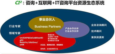 携手共创未来 互联网IT事业合伙人招募与技术咨询新机遇